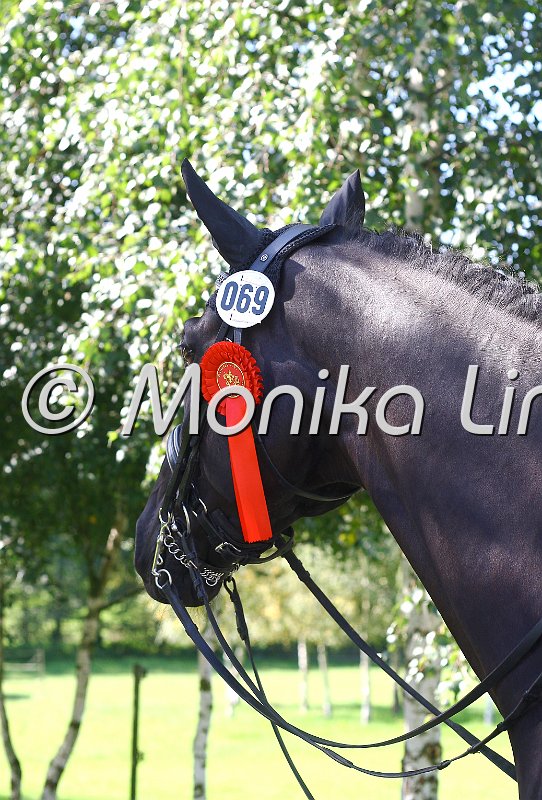 009M2102_e Roppelt.jpg